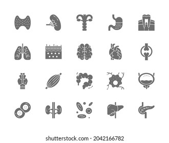 Set of Human Organs Grey Icons. Spleen, Stomach, Lungs, Brain, Heart and more.
