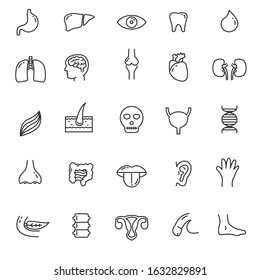 Set of human organs icon in thin line design such as, heart, eye, bone and more 