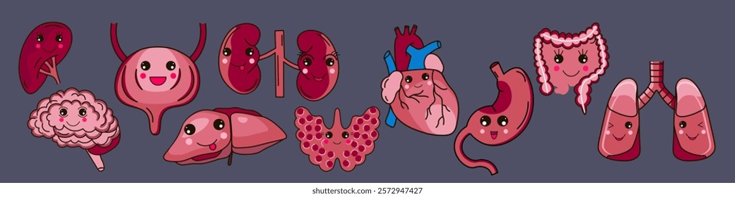 Set of human organs icons. Digestive organs, heart, thyroid gland, brain.Vector illustration
