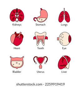 Set of human organs icons flat vector illustrations of human organs symbol for web design medicine anatomy for clinic hospital