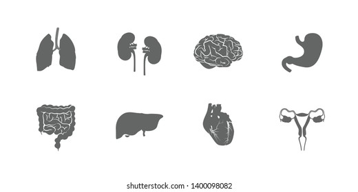 Set of Human Organs isolated on white