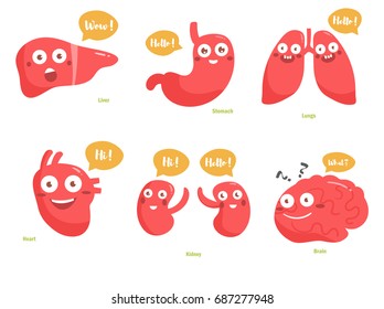 Set of human organs. Liver, kidneys, stomach, brain, lungs, heart. Vector. Cartoon. Isolated art on white background. Flat
