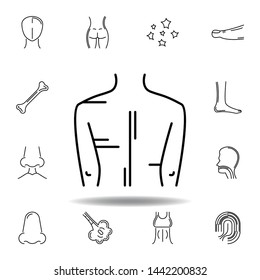 set of human organs men back outline icon. Signs and symbols can be used for web, logo, mobile app, UI, UX