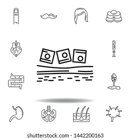 set of human organs mucous membrane outline icon. Signs and symbols can be used for web, logo, mobile app, UI, UX