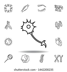set of human organs neuron outline icon. Signs and symbols can be used for web, logo, mobile app, UI, UX