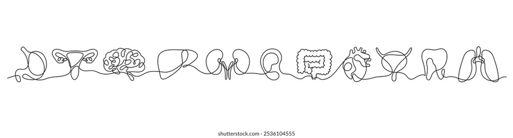 Set of human organs in one continuous line drawing on white background. Lungs, brain, bladder, liver, kidneys, intestines, ear, hand, stomach, tooth in one line illustration.