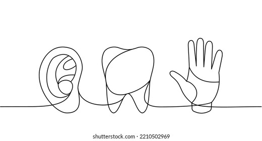 Set of human organs one line continuous drawing. Tooth, ear, hand continuous one line illustration. Vector minimalist linear illustration.