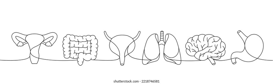 Conjunto de órganos humanos de una línea de dibujo continuo. Pulmones, cerebro, estómago, vejiga, sistema reproductivo, intestinos, ilustración continua de una línea.