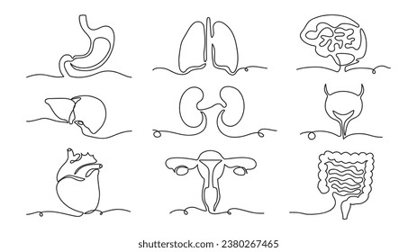 Set of human organs one line continuous drawing. Vector illustration