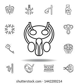 set of human organs organs outline icon. Signs and symbols can be used for web, logo, mobile app, UI, UX