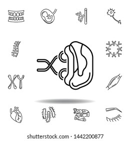 set of human organs spleen outline icon. Signs and symbols can be used for web, logo, mobile app, UI, UX