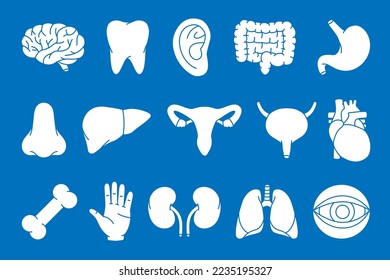 Set of human organs symbol. Brain, tooth, ear, intestines, stomach, nose, liver, reproductive system, heart, bone, hand, kidneys, lungs, eyeball icon.