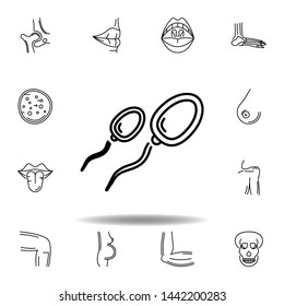 set of human organs two spermatozoon outline icon. Signs and symbols can be used for web, logo, mobile app, UI, UX