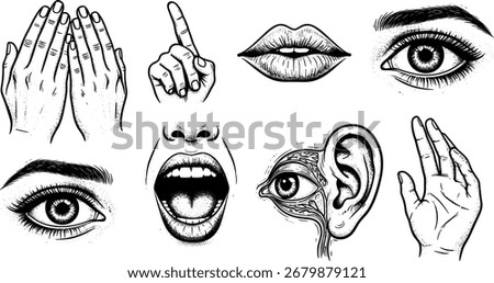 : Set of human sense organs sketch illustrations showing sight, hearing, touch, and taste in a vintage engraving styl