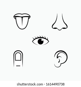 Set of Human Senses Icon. Types of Perception Symbol for Design, Presentation, Website or Apps Elements - Vector. Logo Template.