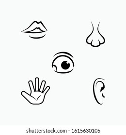 Set of Human Senses Icon. Types of Perception Symbol for Design, Presentation, Website or Apps Elements - Vector.