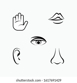 
Set of Human Senses Icon. Types of Perception Vector Illustration, Flat Design.	