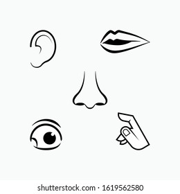 Set of Human Senses Icon. Types of Perception Symbol for Design, Presentation, Website or Apps Elements - Vector.

