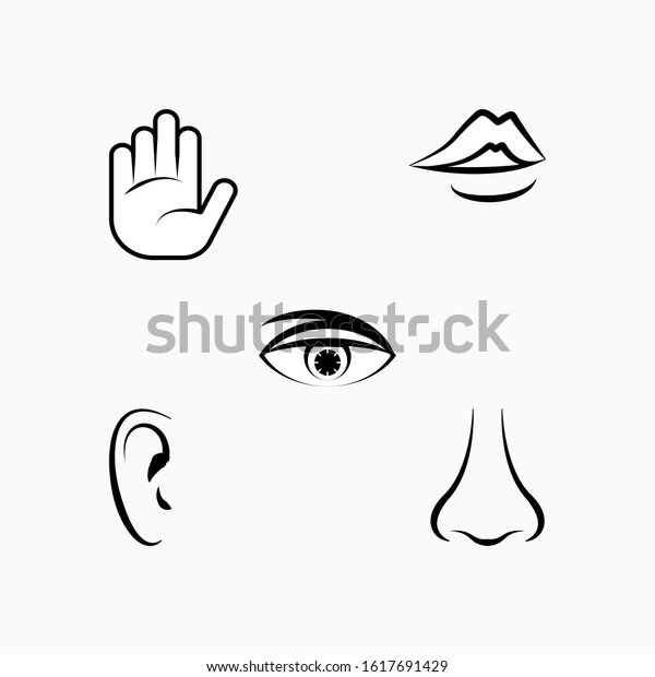 Set Human Senses Icon Types Perception Stock Vector (Royalty Free ...