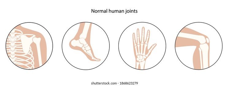 Set with human shoulder, knee, ankle and wrist icons. Normal joints and bones medical poster for clinic. Orthopedic or chiropractic treatment. Anatomical logo concept. Skeleton vector illustration.
