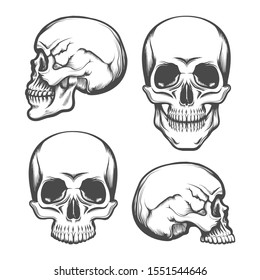 Set Human Skull Front Side View Stock Vector (Royalty Free) 1551544646 ...