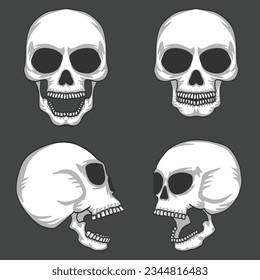Set of Human Skull Head, Vector Illustration