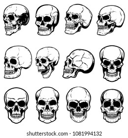 Set of human skull illustrations on white background. Design element for label, emblem, sign,logo, poster. Vector image