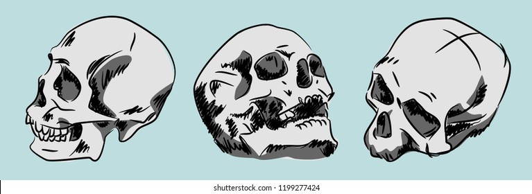 Set of human skulls, hand-drawn
