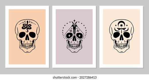 Set of human skulls with snake, butterfly, dragonfly, moon, star. Beautiful collection of human skull portrait. Vector flat mystic vintage illustration. Design for poster, card, flyer, tarot