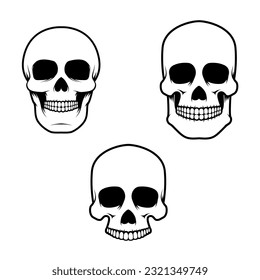 Set of the human skulls in vector