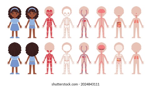 Set of Human Systems in a Cartoon Style. The Muscular, Skeletal, Circulatory, Nervous, Digestive, Respiratory systems. Black Girl and Anatomy. Illustration for Medical Design and children's education.