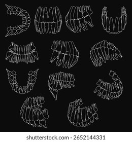 A set of human teeth arranged symmetrically on a black background highlights dental anatomy. Each tooth has a distinct shape and size, creating visual contrast.