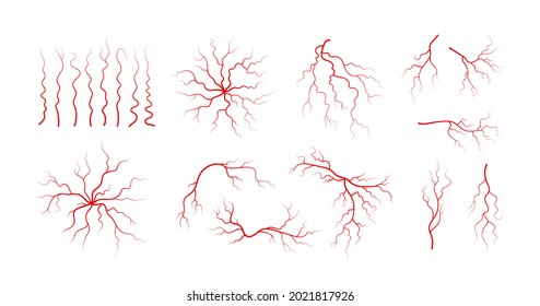 Set of human veins and arteries. Red branching blood vessels and capillaries. Vector illustration isolated on white background.