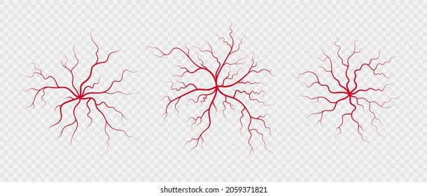 Set human veins and arteries. Red branching spider-shaped blood vessels and capillaries. Vector illustration isolated on transparent background.