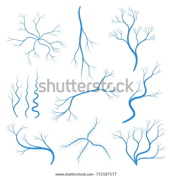 ヒトの静脈や血管 青い毛細血管 動脈 目静脈 血液系のアイコン 医学の解剖学エレメントのコンセプト ベクターイラスト のベクター画像素材 ロイヤリティフリー