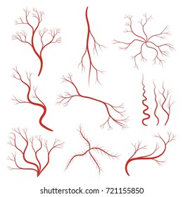 Set of human veins or vessel, red capillaries, arteries, eye vein. Blood system icon. Concept anatomy element for medical science. Vector illustration