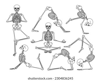 Set of human yoga skeleton. Collection of anatomy skeleton in different yoga poses  in front, profile and back view. Happy Halloween. Namaste. Vector isolated flat illustration of skull and bones. 