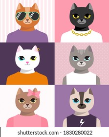 Set of humanized cats portraits. Fashion cartoon animals in clothes. Colored characters avatars in t-shirts and glasses