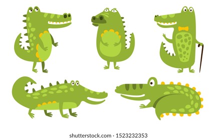 Set of humanized green with a yellow belly crocodiles. Vector illustration.