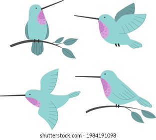 Set of humming birds. Vector hand drawn illustration