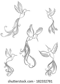 Set of hummingbird. Bird collection. Sketch of bird hand drawn. 