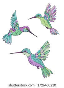 Set of hummingbird. Decoration print for wrapping, wallpaper, fabric. Seamless vector texture. Vector illustration. 