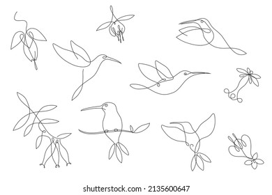 Set of hummingbird designs with flowers in one continuous line for logo and graphic design. Small beautiful shearling bird. isolated on white background. Vector illustration