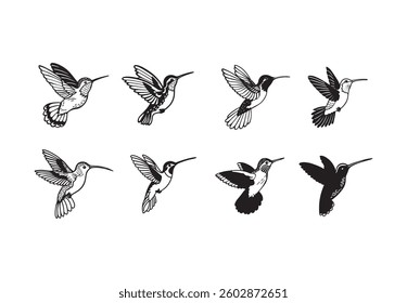 set of hummingbird line art vector illustration