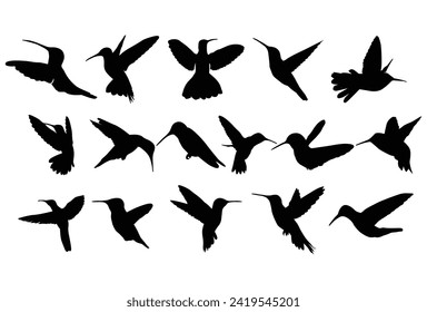 Set of Hummingbird silhouette icon logo template vector illustration design