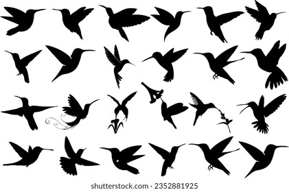Set of hummingbird silhouettes, scientifically known as Trochilidae. Each silhouette captures the unique flight pattern of these fascinating creatures, making it a perfect choice for bird enthusiasts 