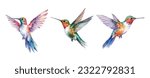 Set of hummingbird watercolor isolated on white background. Vector illustration