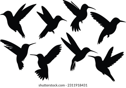 Set of hummingbirds. Hummingbird silhouettes. Vector illustration.