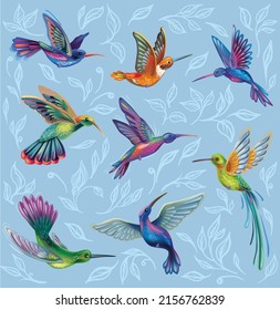 Set with Hummingbirds Magic Colibri Vector illustration 