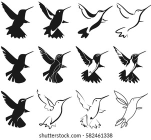 set of hummingbirds for your design, isolated objects, vector illustration